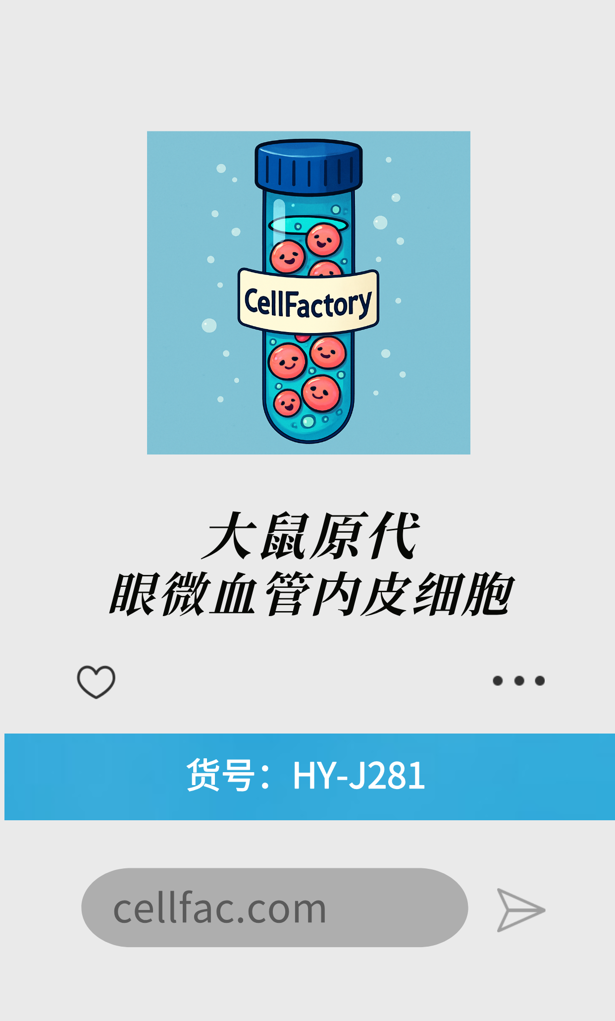  大鼠原代眼微血管内皮细胞