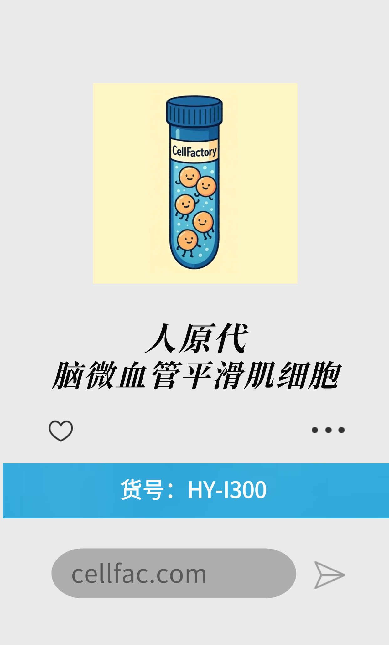  人原代脑微血管平滑肌细胞