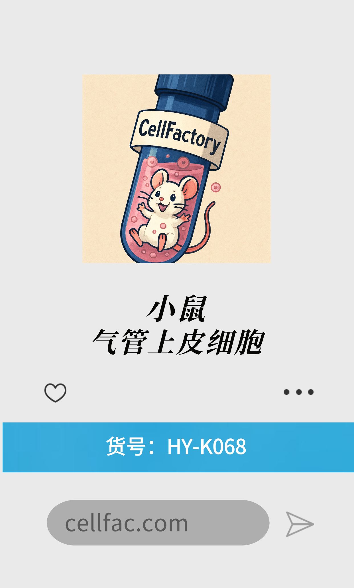  小鼠原代气管上皮细胞