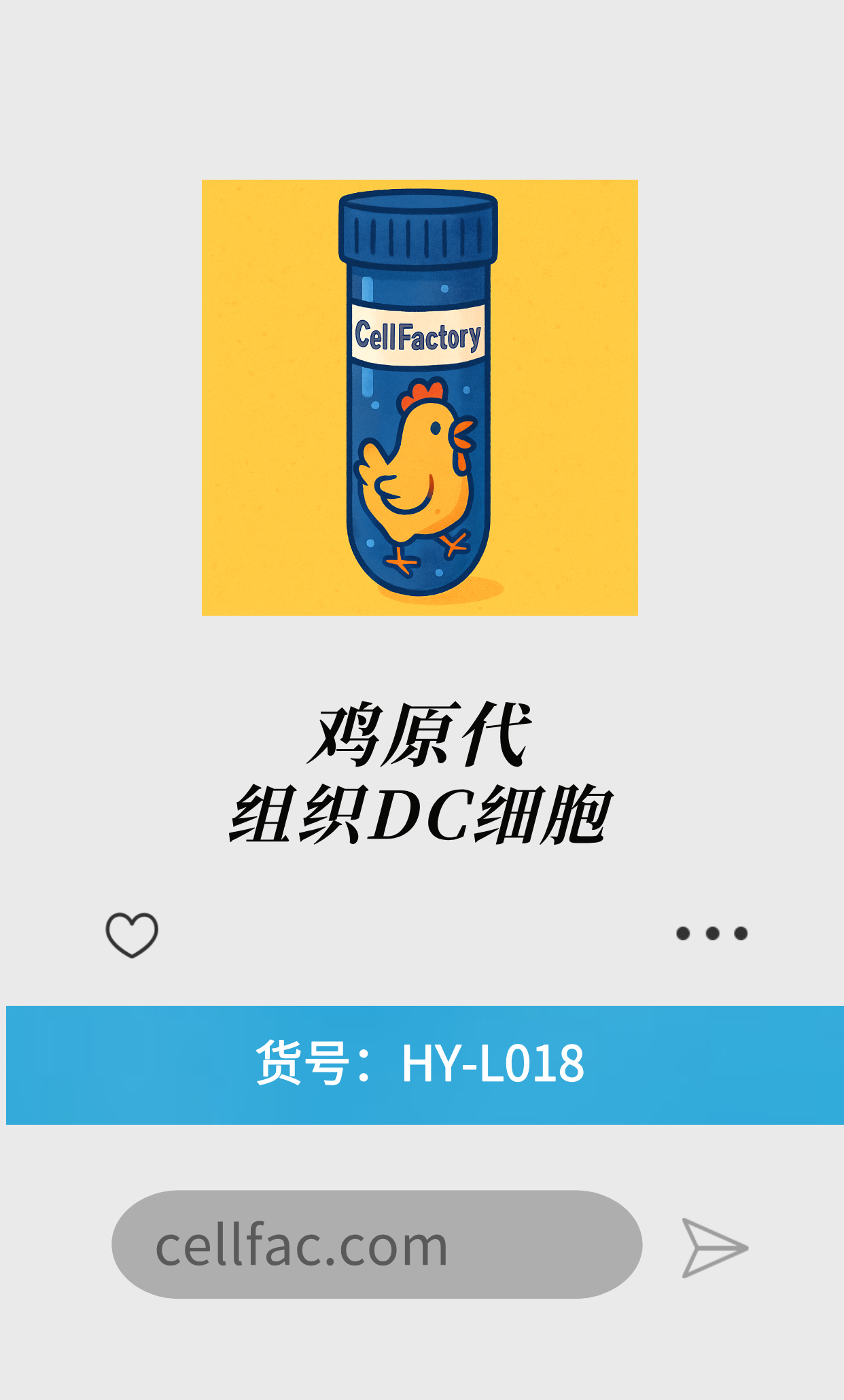  鸡原代组织DC细胞