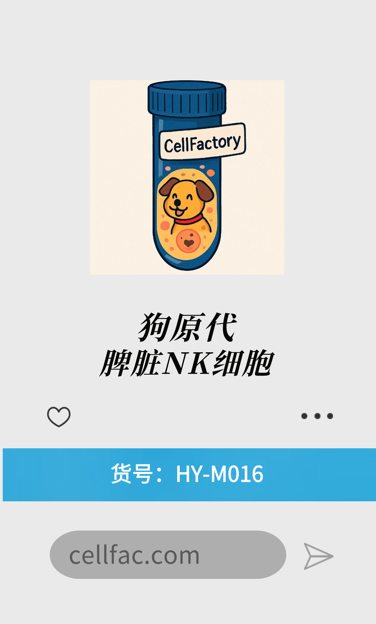  狗原代脾脏NK细胞