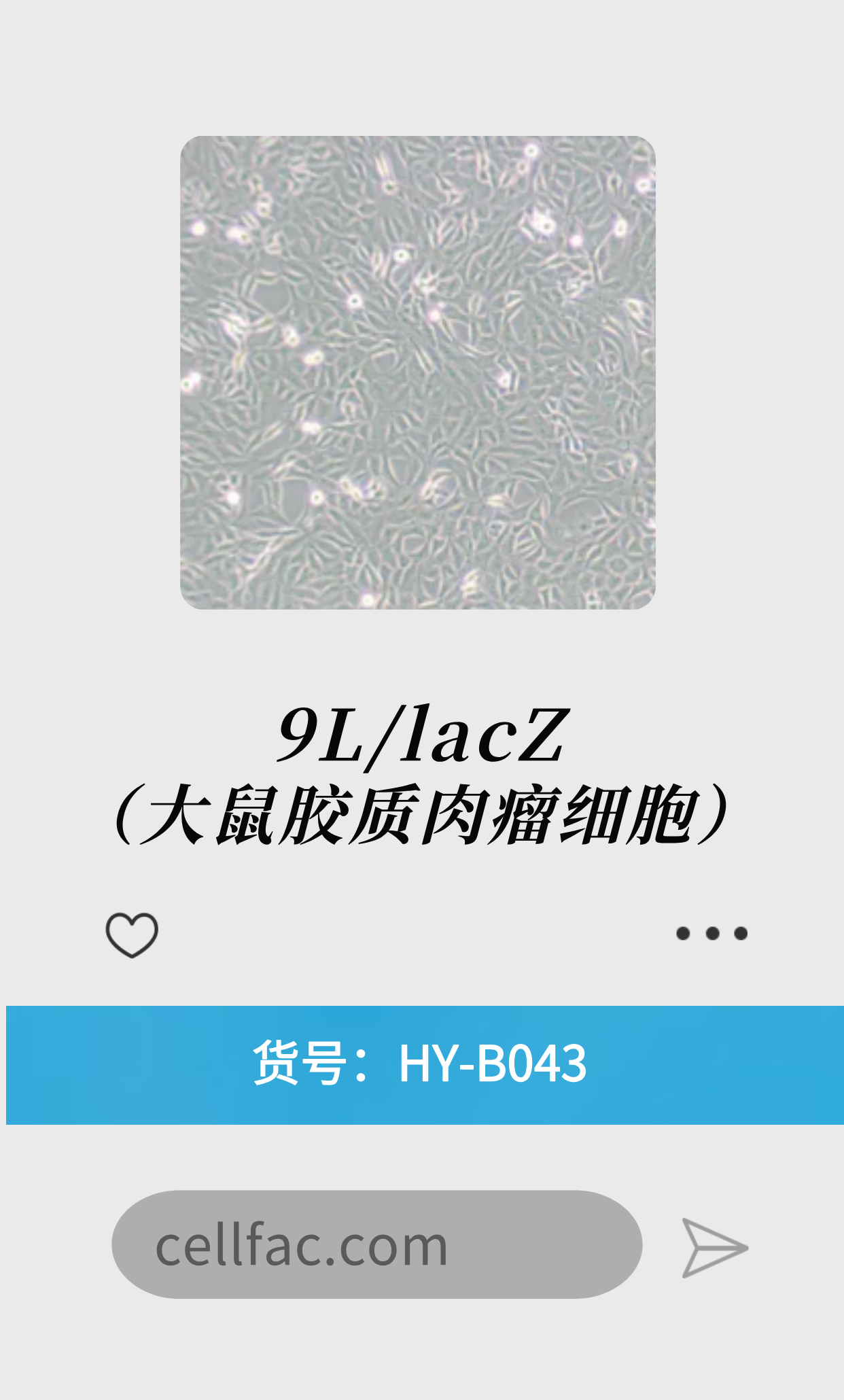  9L/lacZ（大鼠胶质肉瘤细胞）