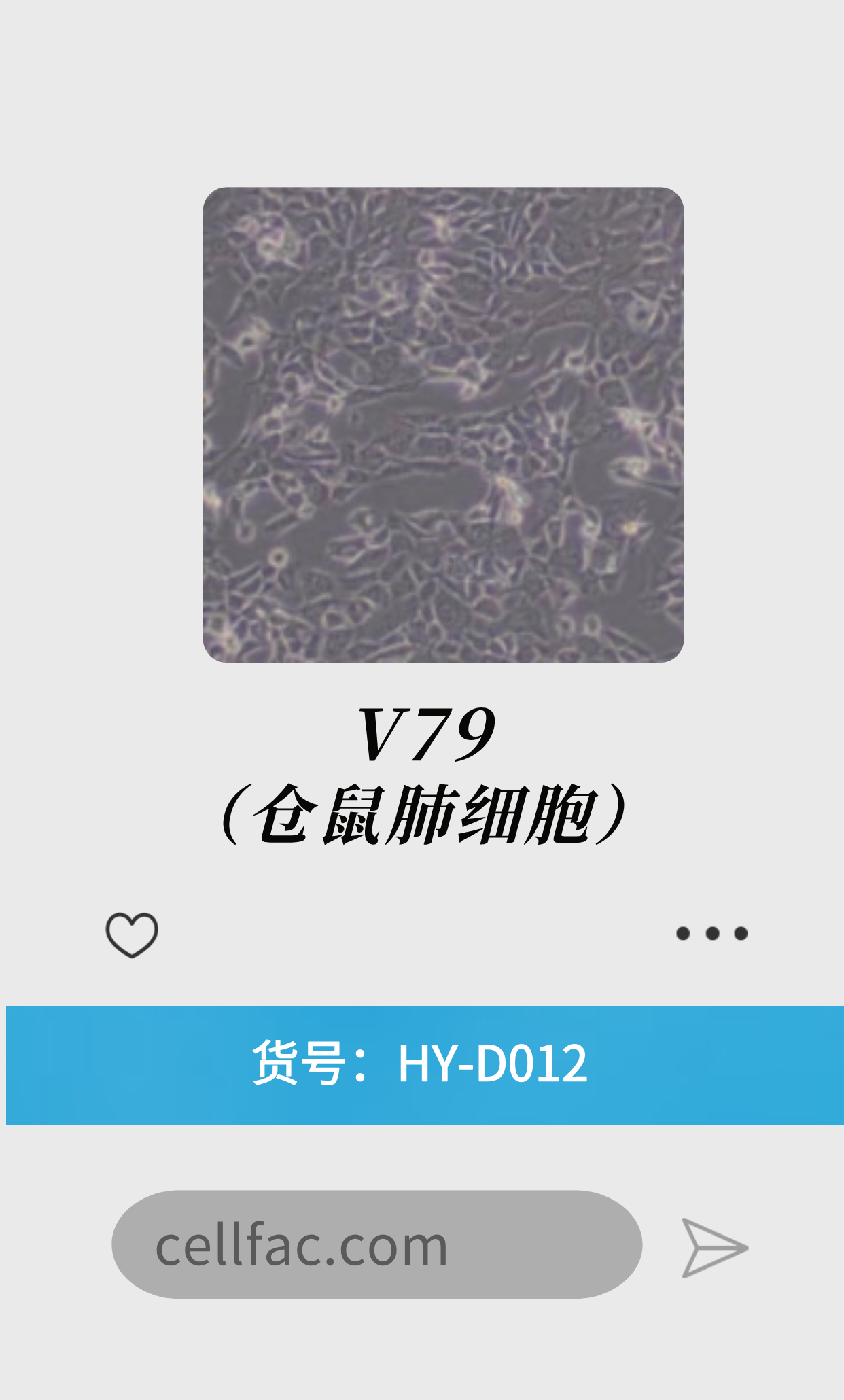  V79（仓鼠肺细胞）