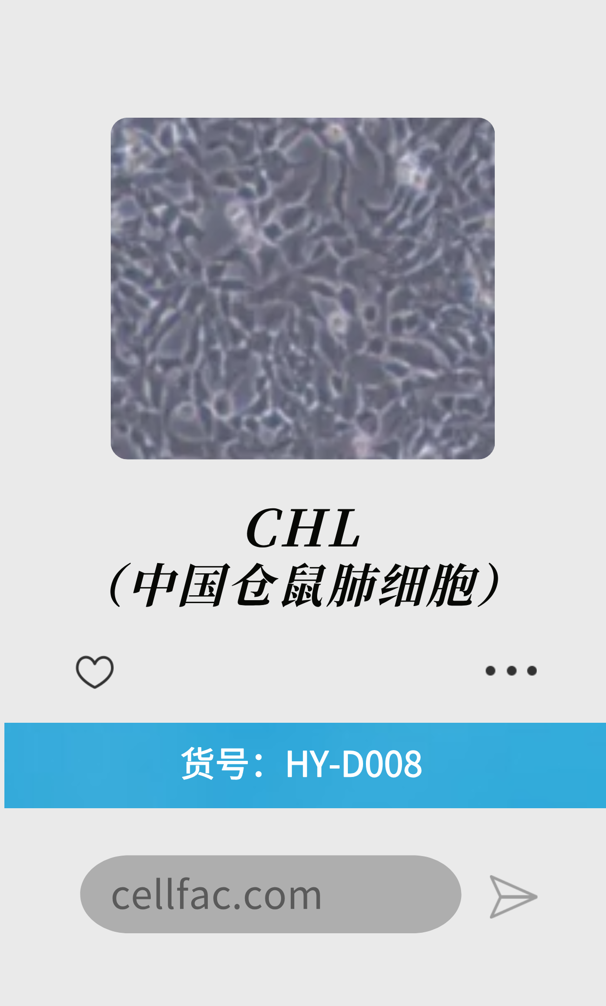 CHL（中国仓鼠肺细胞）