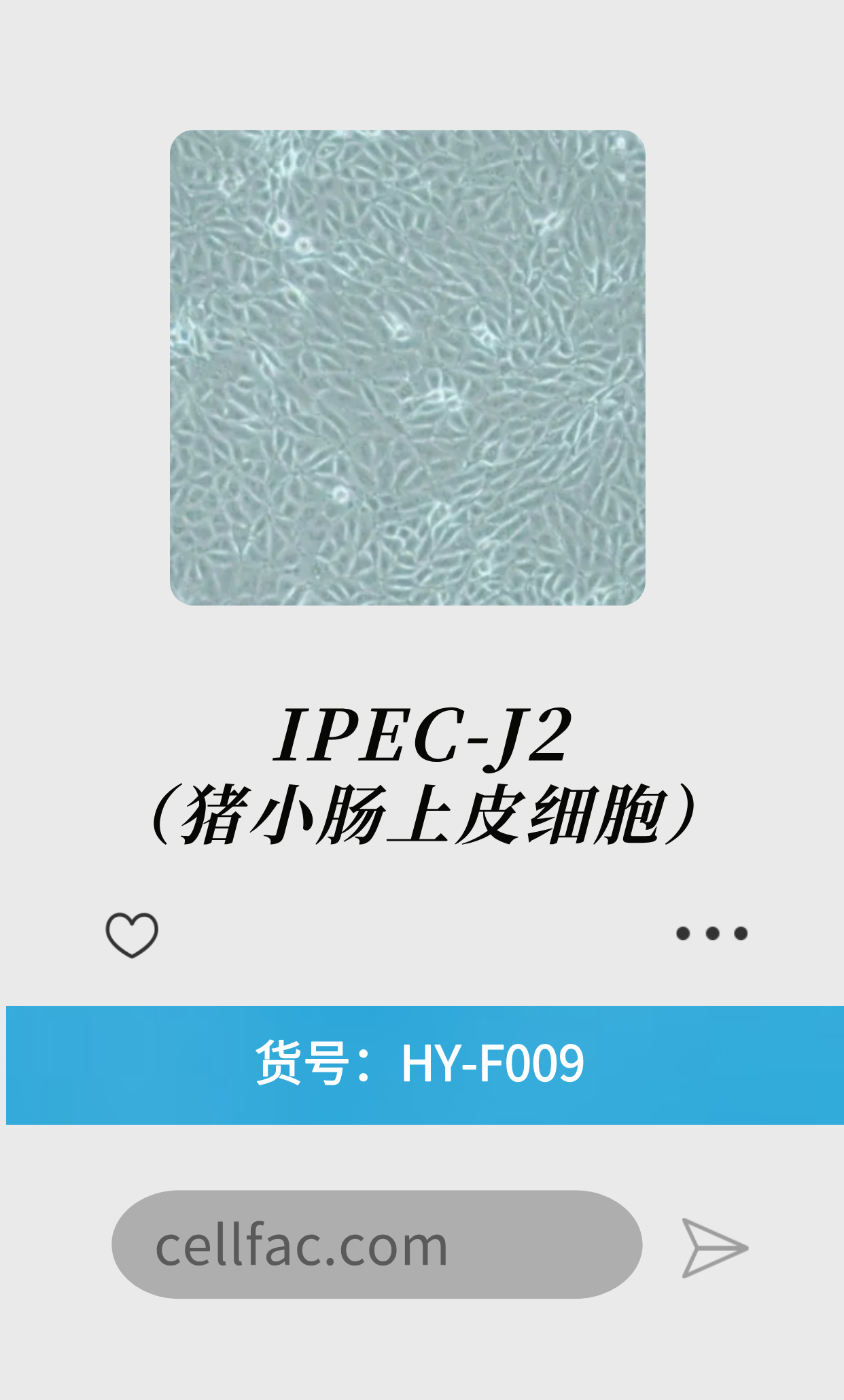  IPEC-J2（猪小肠上皮细胞）