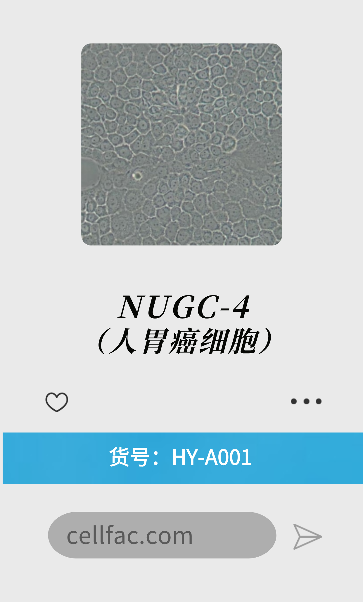 NUGC-4（人胃癌细胞）