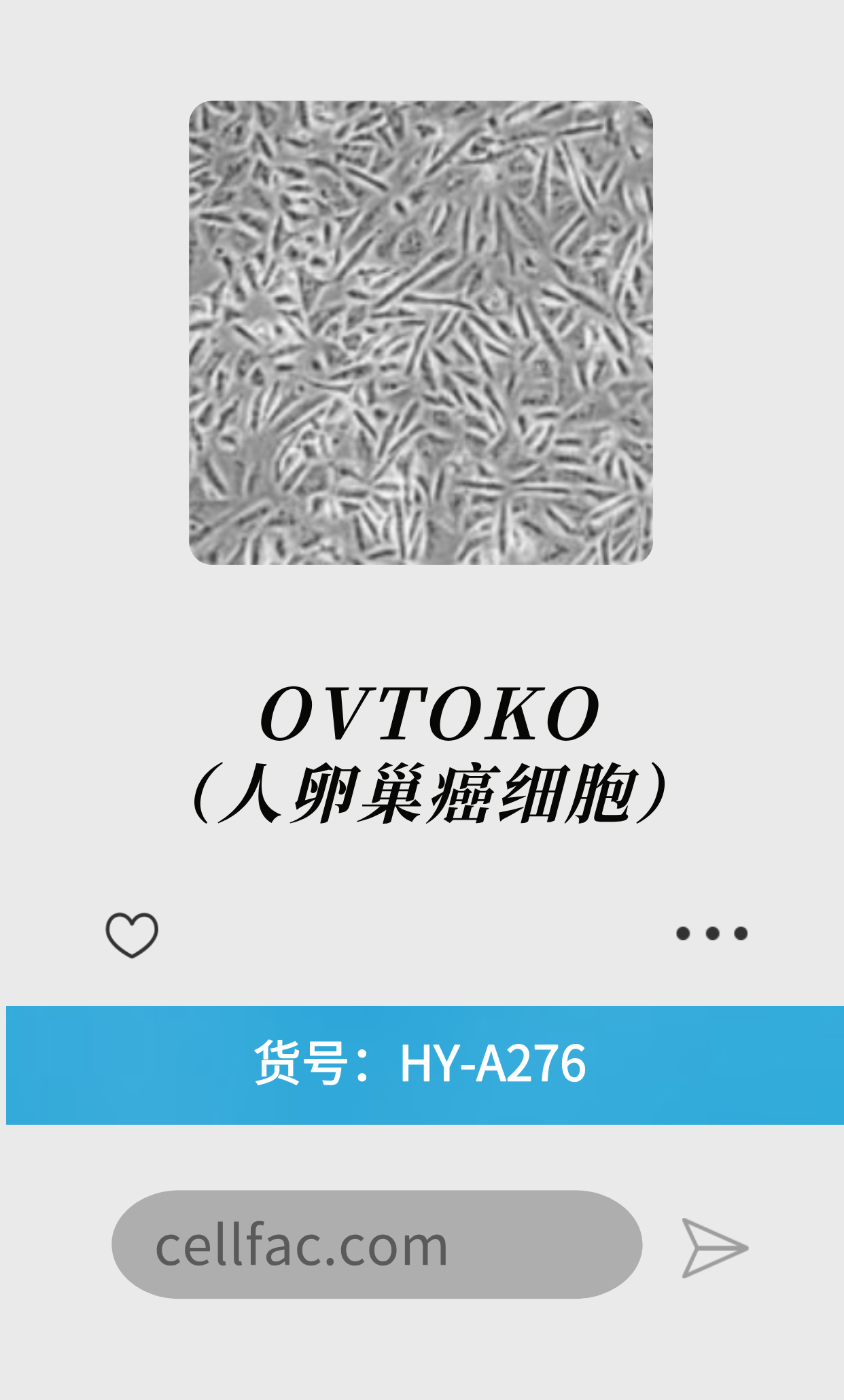 OVTOKO（人卵巢癌细胞）