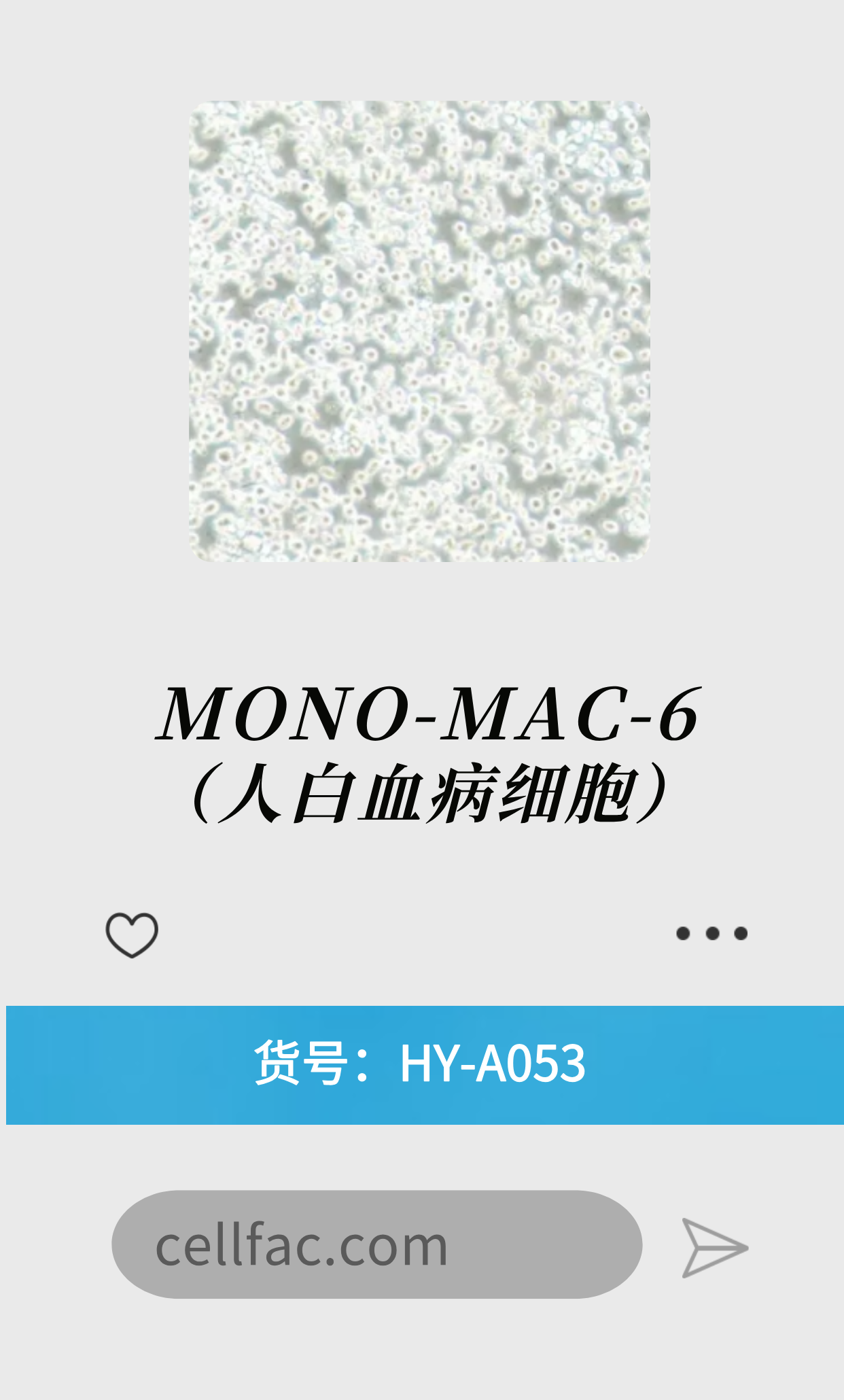 MONO-MAC-6（人白血病细胞）
