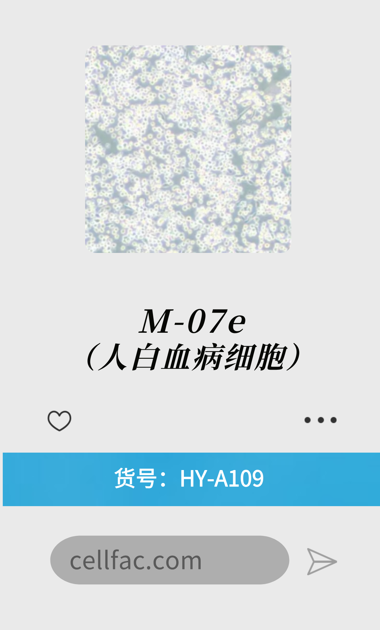 M-07e（人白血病细胞）