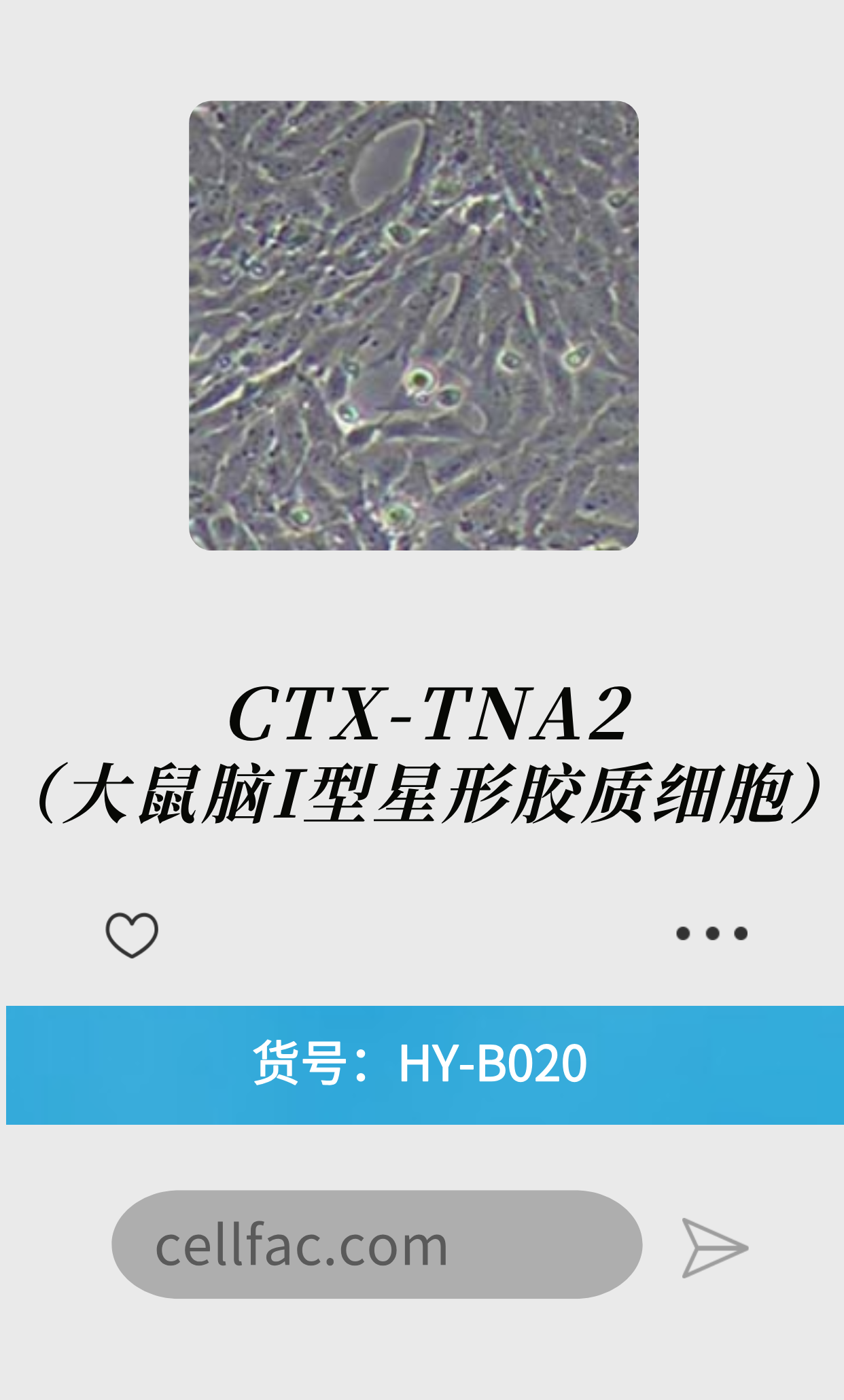  CTX-TNA2（大鼠脑I型星形胶质细胞）