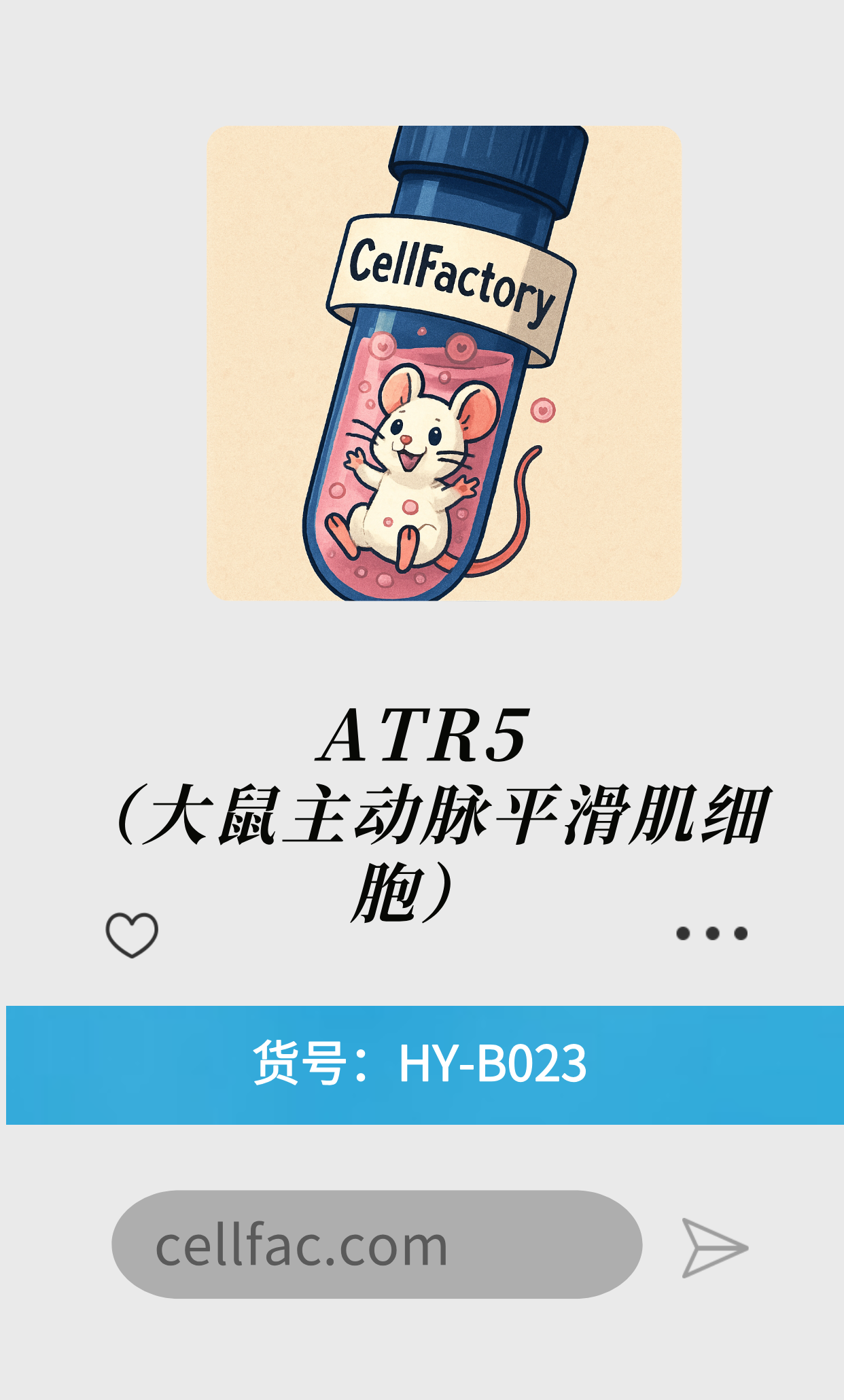  ATR5（大鼠主动脉平滑肌细胞）