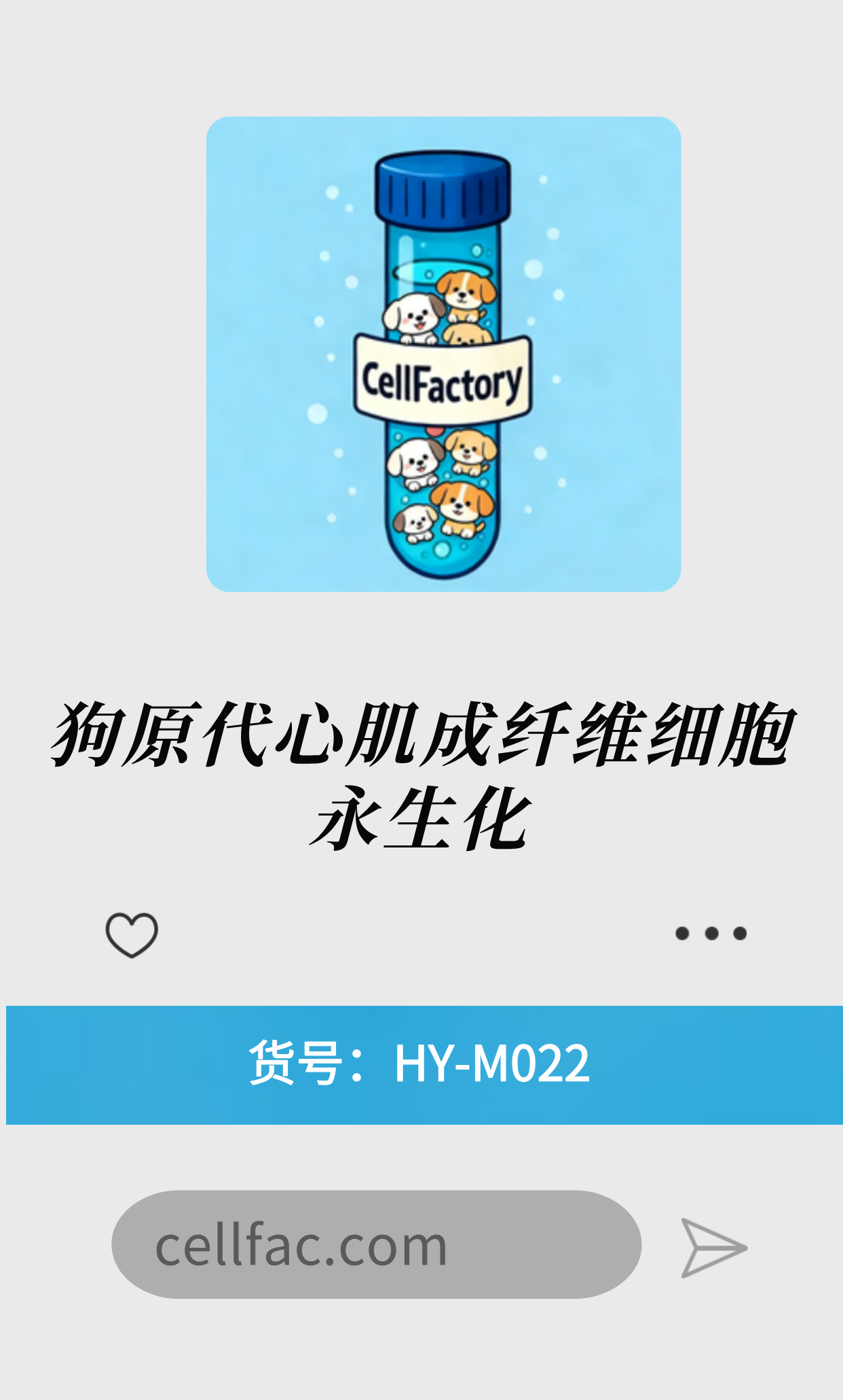  狗原代心肌成纤维细胞永生化