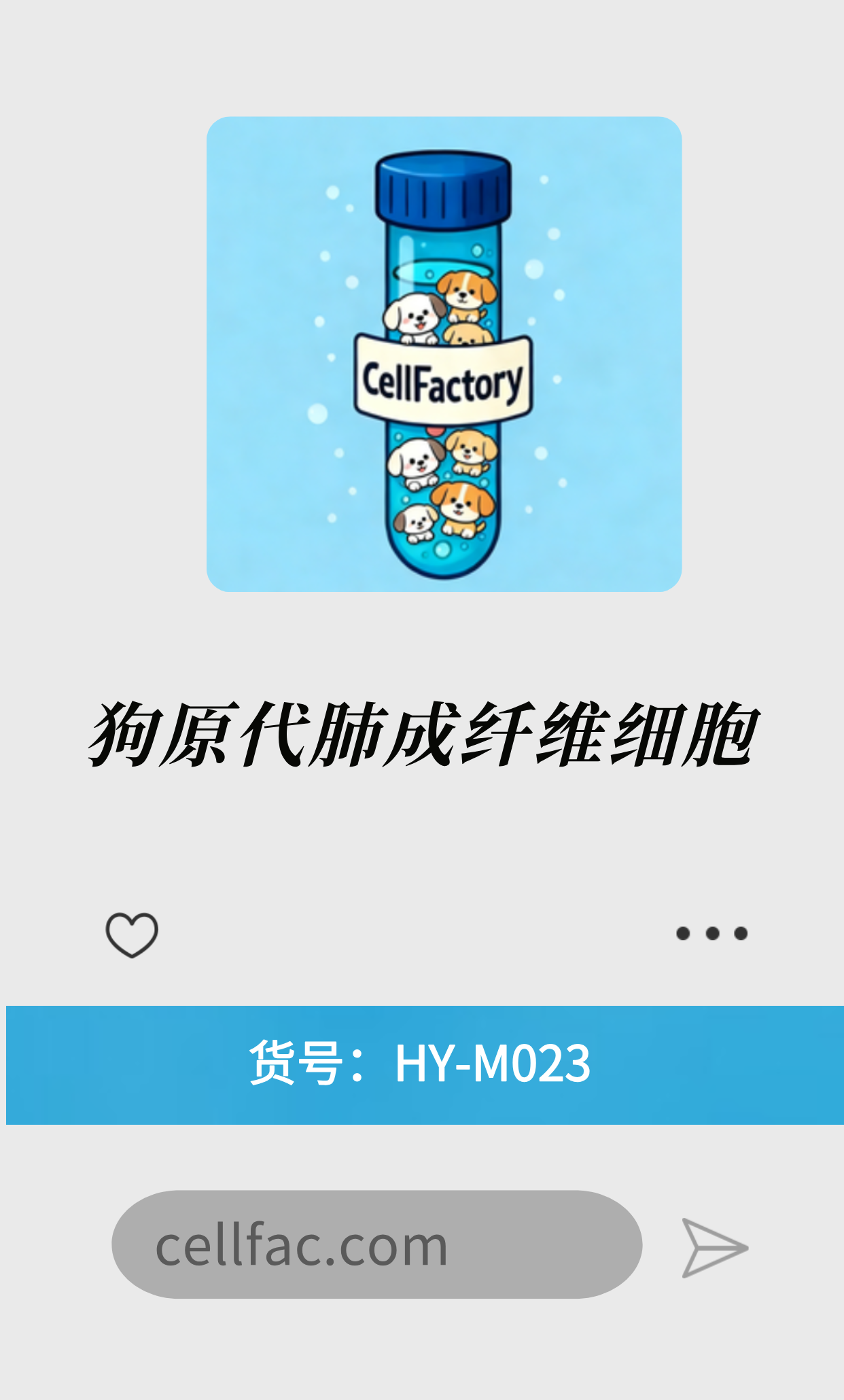  狗原代肺成纤维细胞