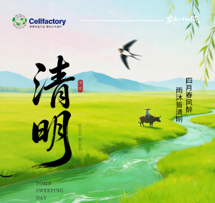 清明时节实验续，未雨绸缪备资材——CellFac清明节放假通知暨实验物资备货指南